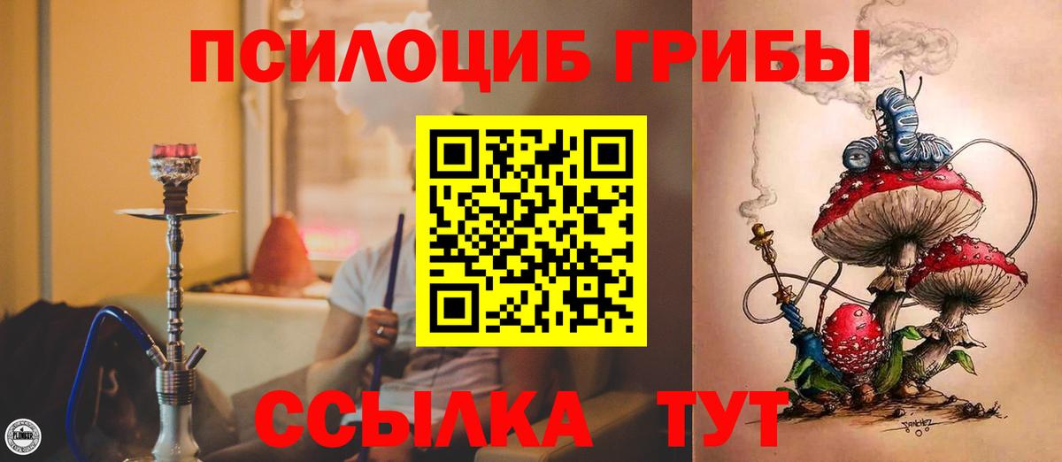 Псилоцибиновые грибы Cubensis  Вход с VPN  Сочи 